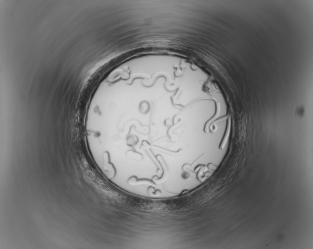 X0000116050971200912111500