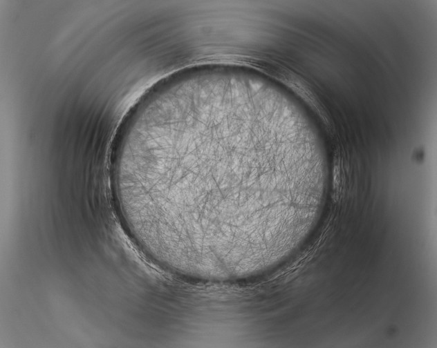 X0000116050972200912111500