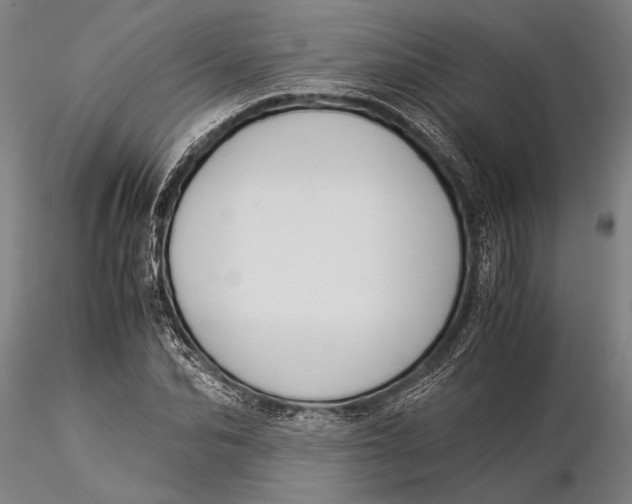 X0000116050974200912111500