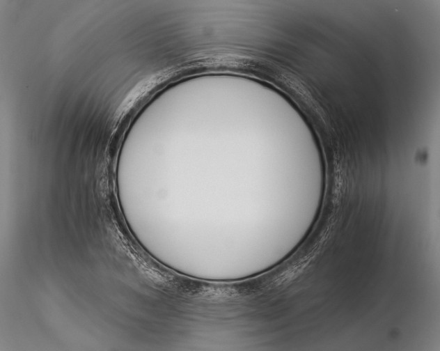 X0000116050978200912111500