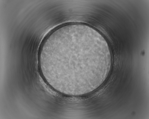 X0000116050980200912111500