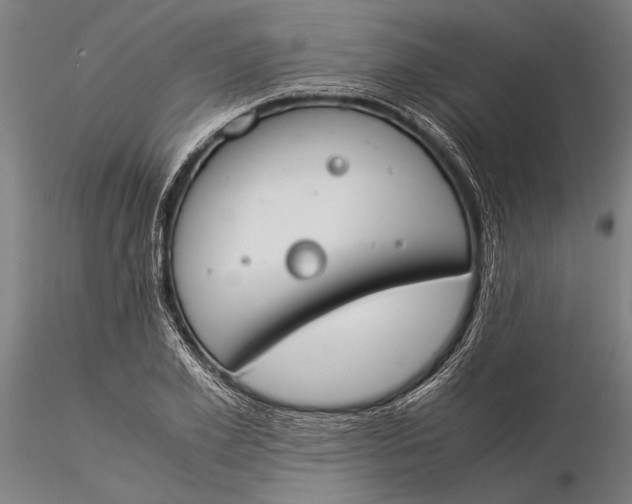 X0000116050981200912111500