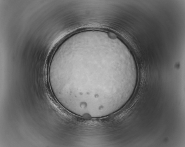X0000116050982200912111500