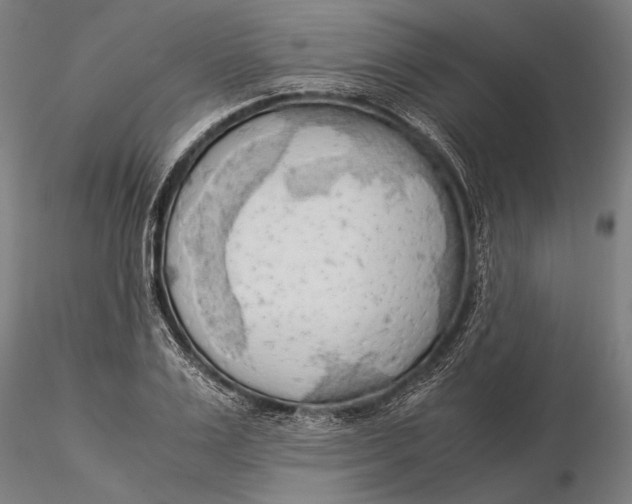 X0000116050983200912111500