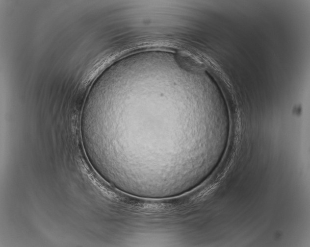 X0000116050985200912111500