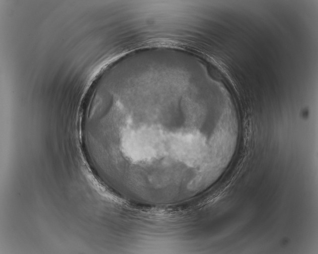 X0000116050987200912111500