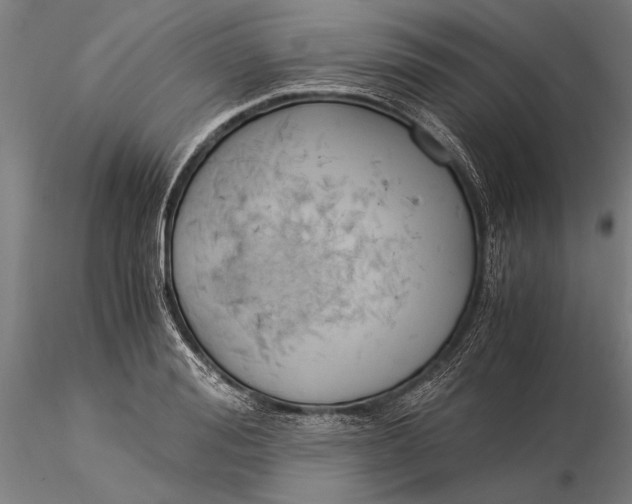 X0000116050988200912111500