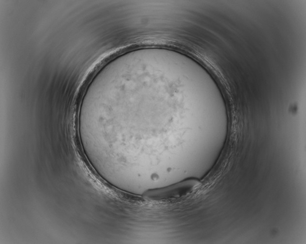 X0000116050992200912111500