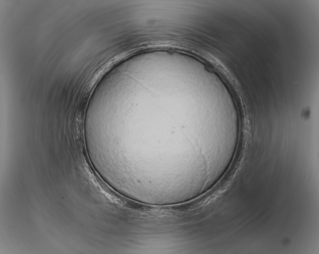 X0000116050993200912111500