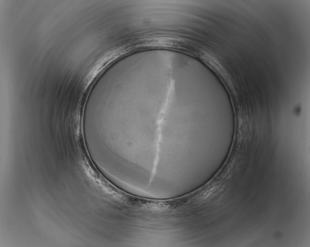 X0000116050994200912111500