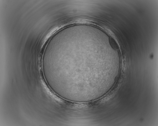 X0000116050997200912111500