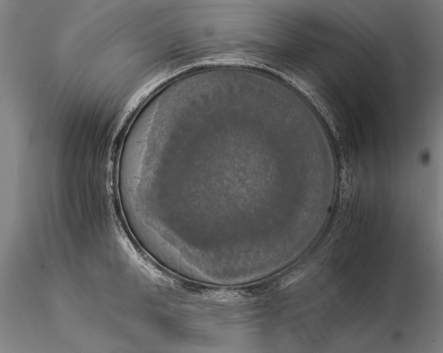 X0000116050998200912111500