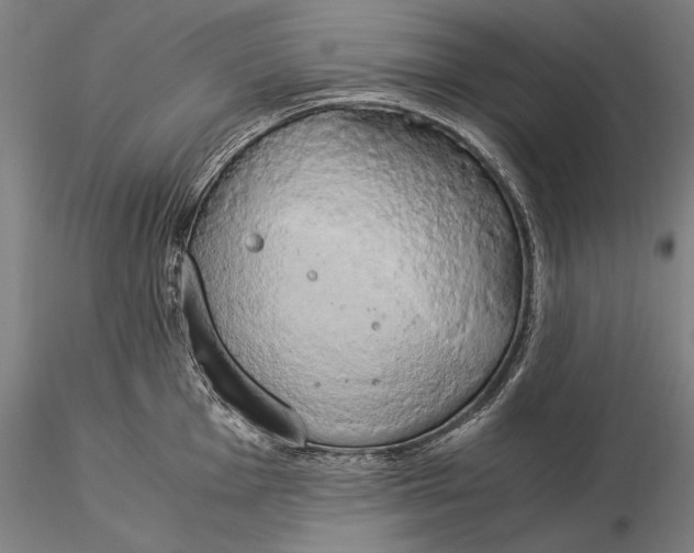 X0000116051001200912111500