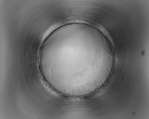 X0000116051002200912111500
