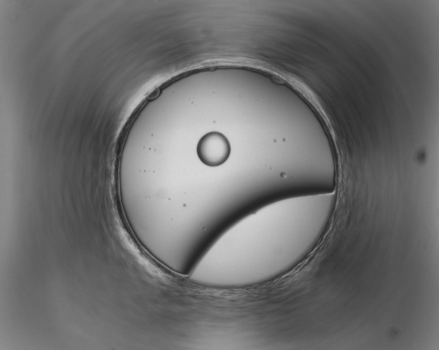 X0000116051005200912111500