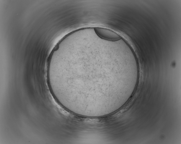 X0000116051006200912111500