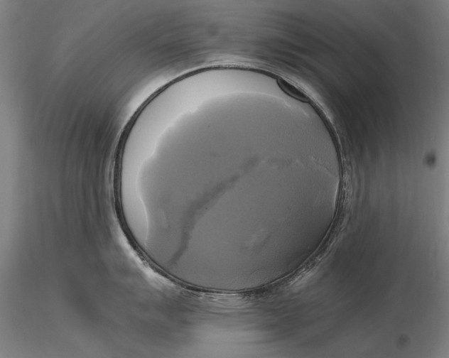 X0000116051007200912111500
