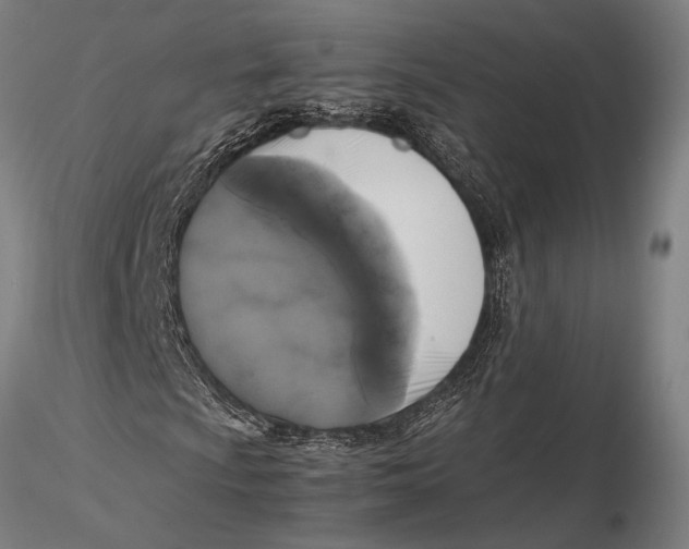 X0000116051009200912111459