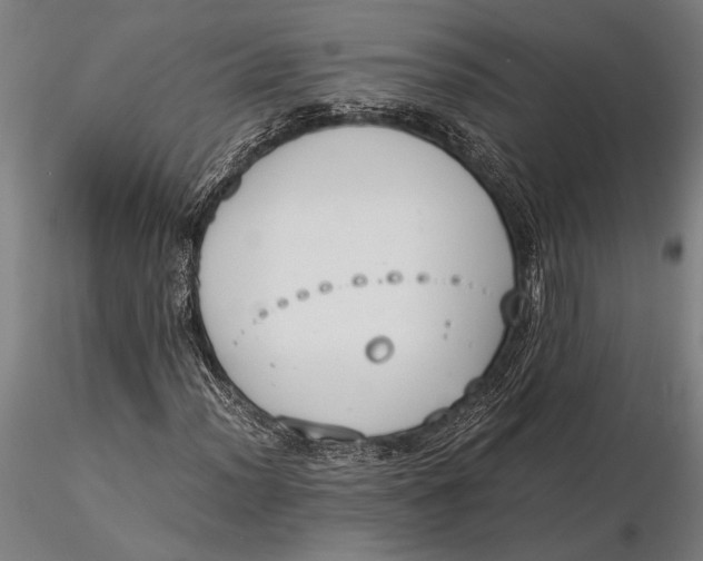 X0000116051012200912111459