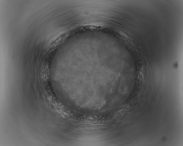 X0000116051014200912111459
