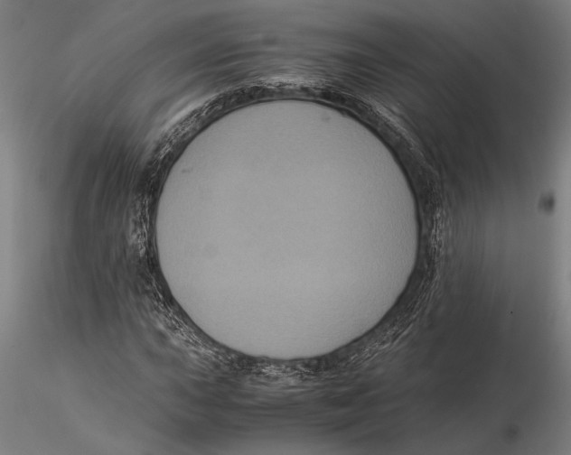 X0000116051015200912111459