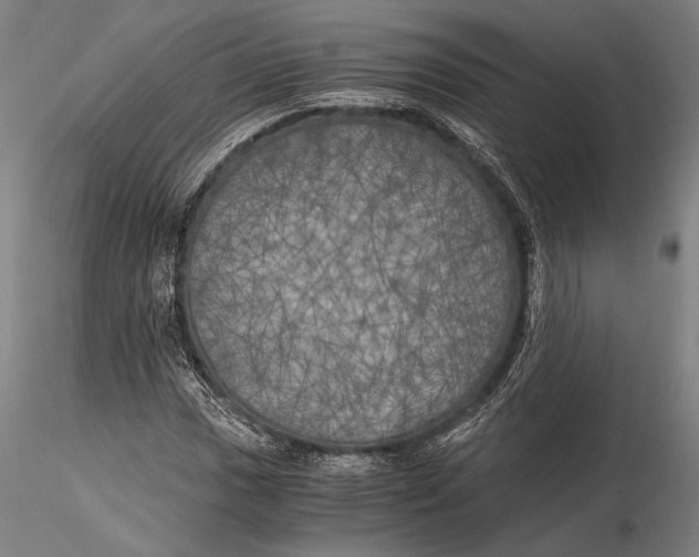 X0000116051017200912111459