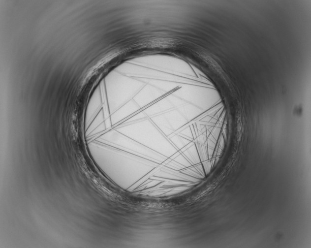 X0000116051018200912111459