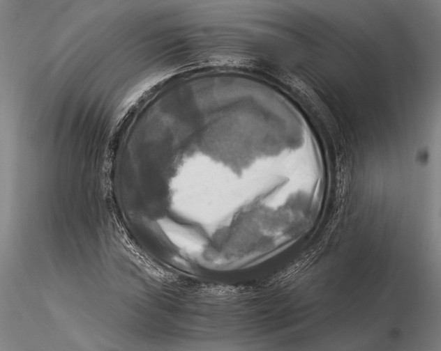 X0000116051019200912111459
