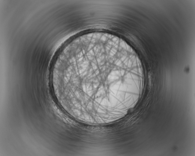 X0000116051020200912111459