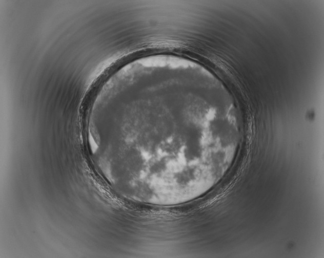 X0000116051022200912111459