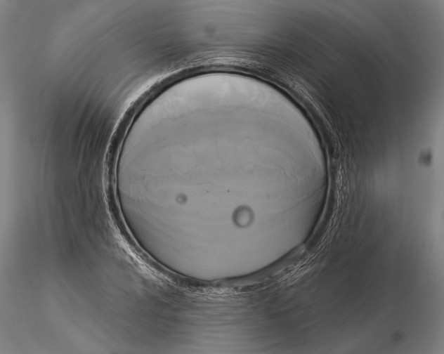 X0000116051024200912111459