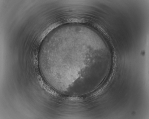 X0000116051025200912111459