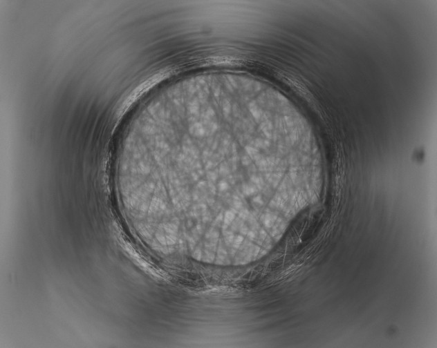 X0000116051026200912111459