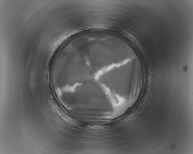 X0000116051027200912111459
