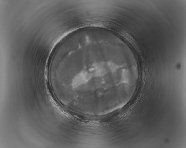 X0000116051028200912111459
