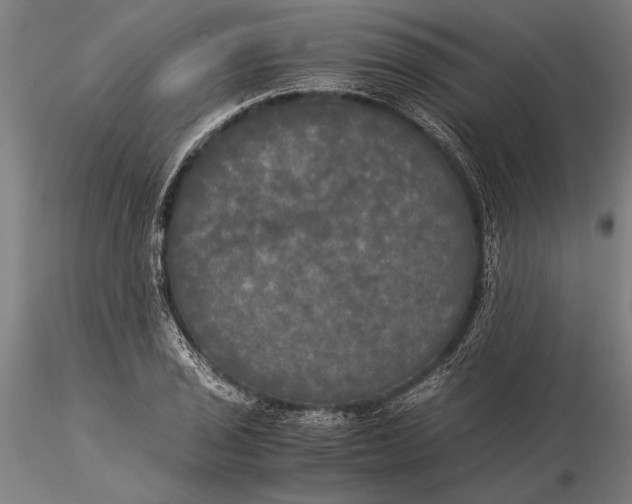 X0000116051029200912111459