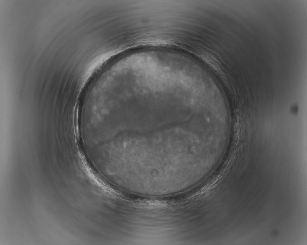 X0000116051030200912111459