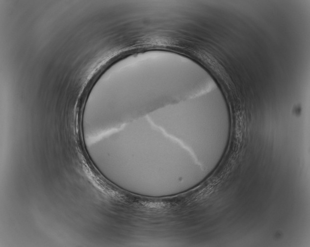 X0000116051031200912111459