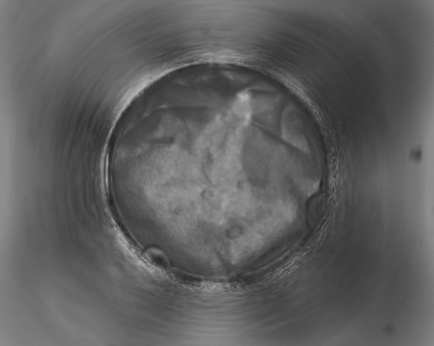 X0000116051032200912111459
