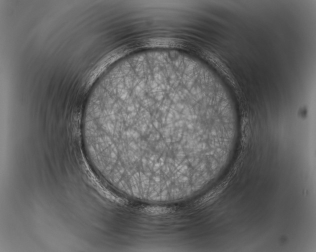 X0000116051033200912111459