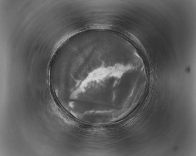 X0000116051035200912111459