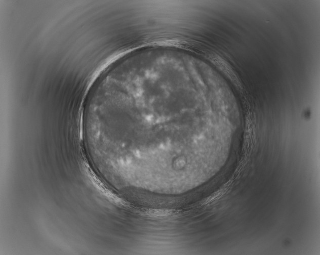 X0000116051036200912111459
