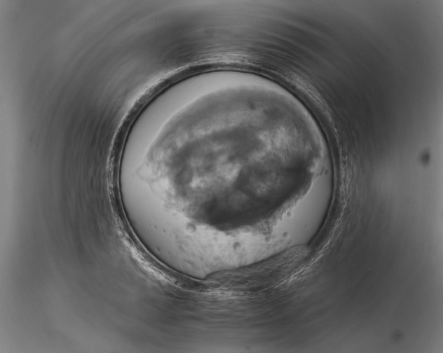 X0000116051037200912111459