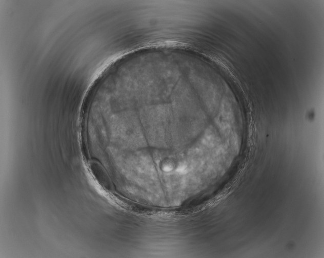 X0000116051038200912111459