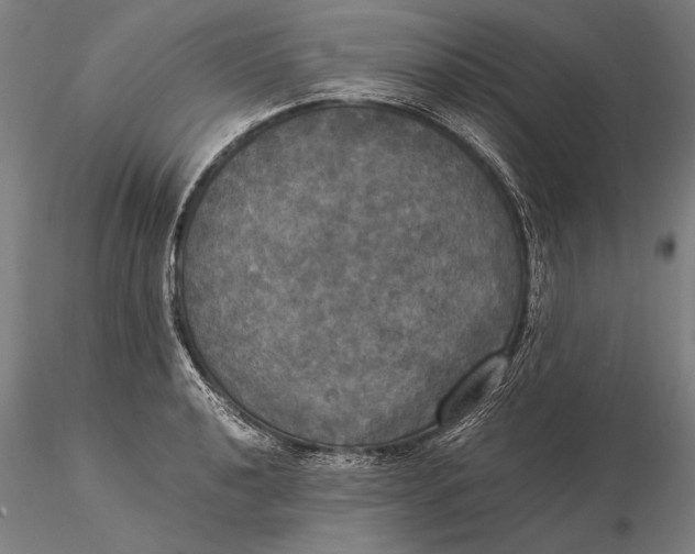 X0000116051040200912111459