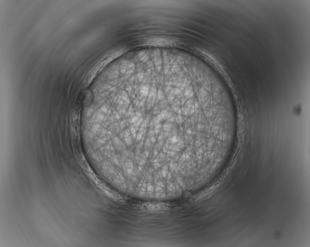 X0000116051041200912111459