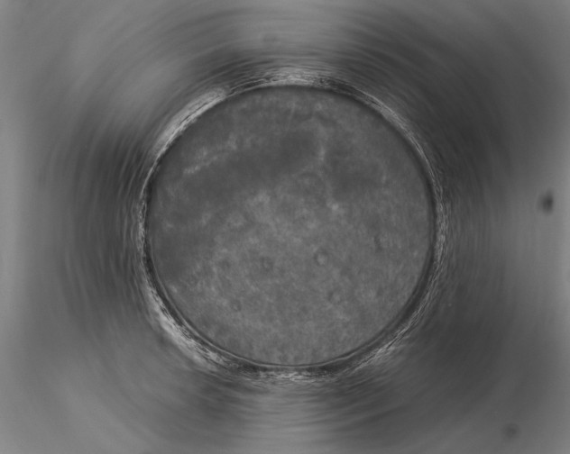 X0000116051042200912111459