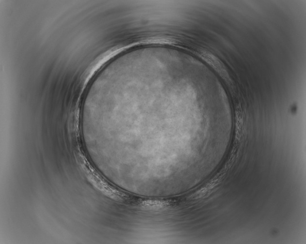 X0000116051044200912111459