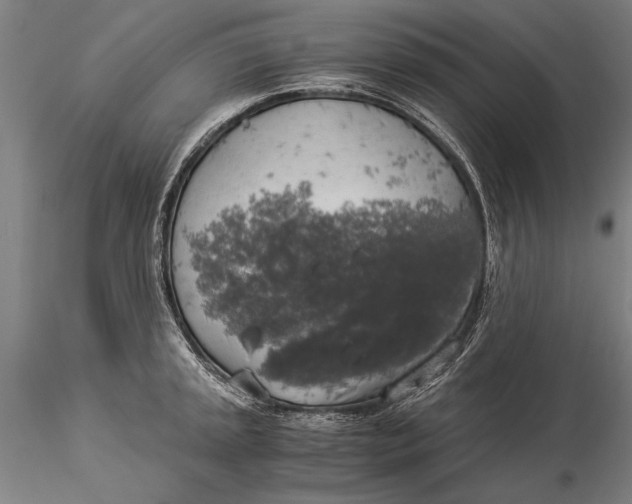 X0000116051045200912111459