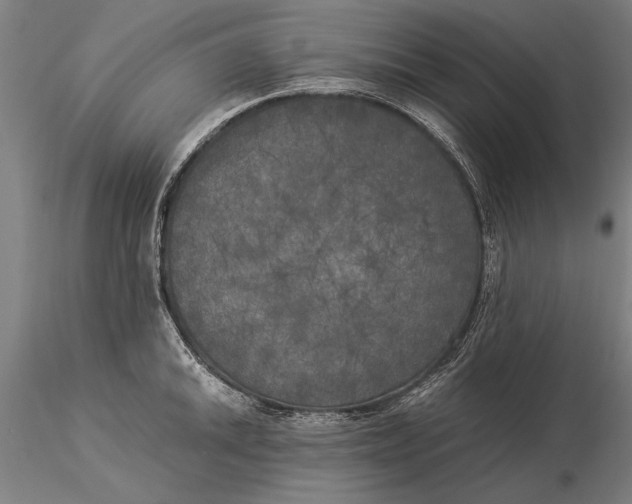X0000116051046200912111459